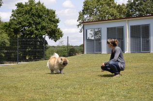 pension animalière la Chapelle Achard