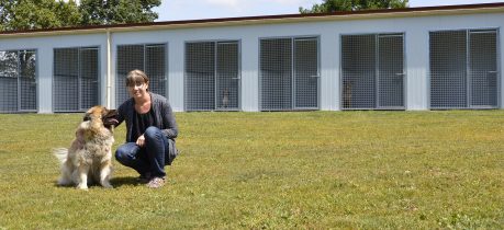 Pension pour animaux en Vendée