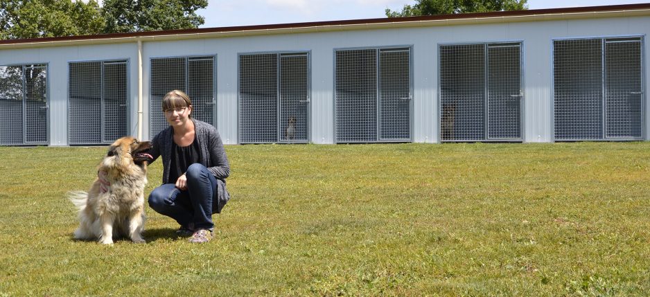 Pension pour animaux en Vendée