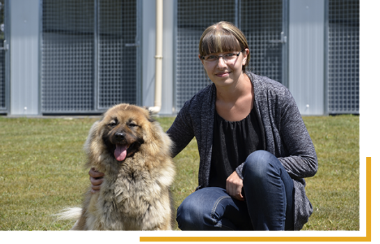 Pension pour chien et chat en Vendée